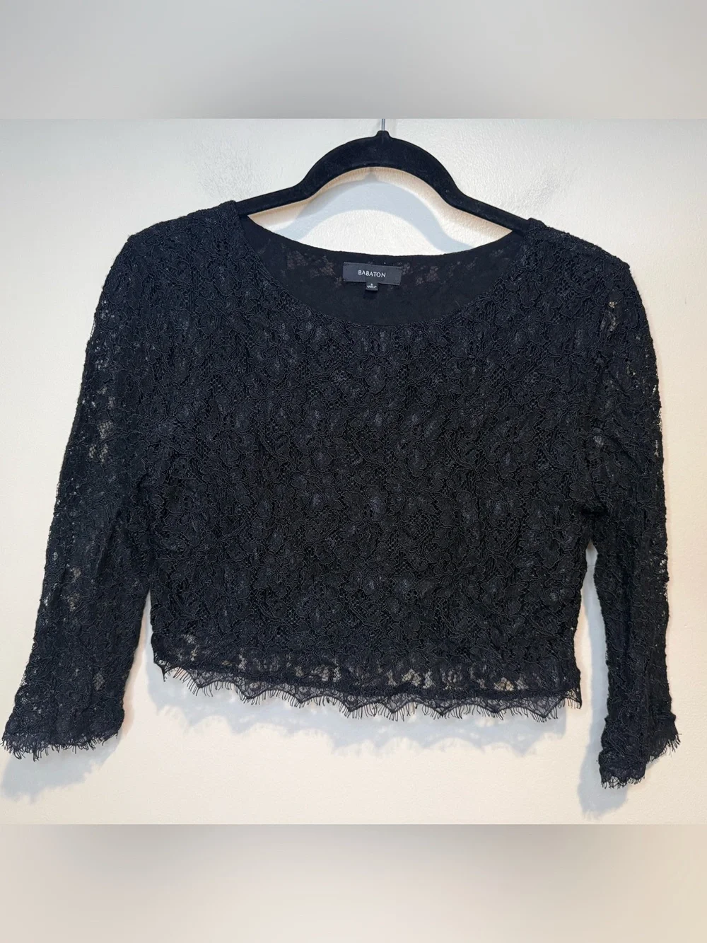 Babaton STUART BLOUSE | Aritzia - lace crop top